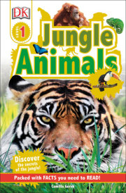 DK Readers L1: Jungle Animals 