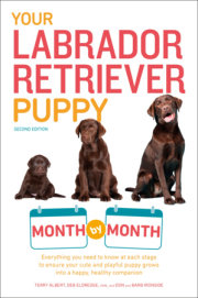 Your Labrador Retriever Puppy Month by Month, 2nd Edition 