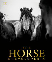 The Horse Encyclopedia 