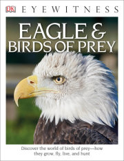 Eyewitness Eagle and Birds of Prey
