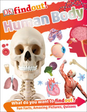 DKfindout! Human Body 