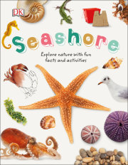 Seashore 