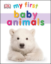 My First Baby Animals 