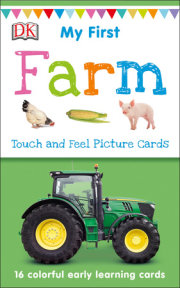 My First Touch and Feel Picture Cards: Farm 