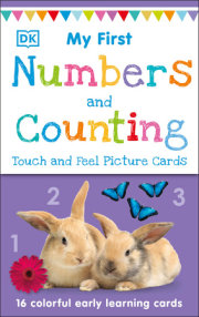 My First Touch and Feel Picture Cards: Numbers and Counting