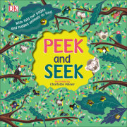Peek and Seek 