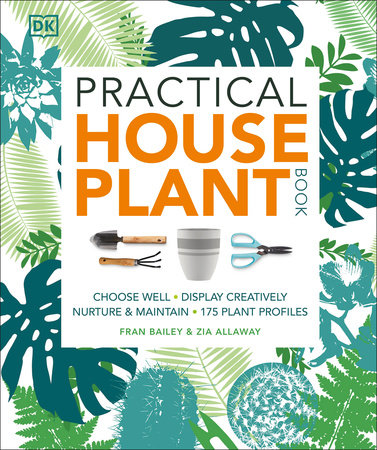 Practical Houseplant Practical Houseplant