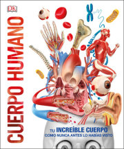 Cuerpo humano (Knowledge Encyclopedia Human Body!)