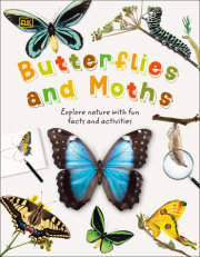 Butterflies and Moths 