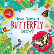 How Does a Butterfly Grow? 