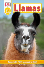 DK Readers Level 2: Llamas