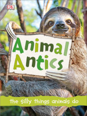 Animal Antics 