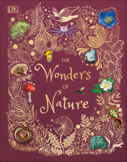 The Wonders of Nature 