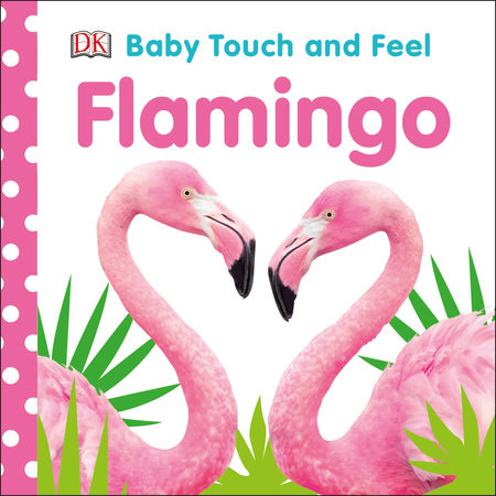 Flamingo Usernames