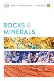 Rocks & Minerals 