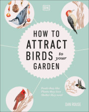 How to Attract Birds to Your Garden 