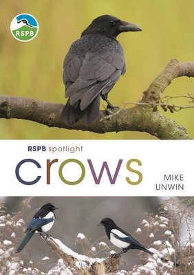 Cover of RSPB Spotlight Crows