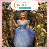 Cover of Cinderella: A Night at the Ball cover