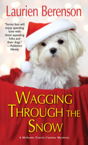 Wagging through the Snow 