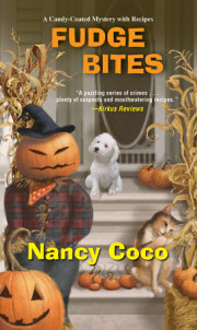 Fudge Bites 