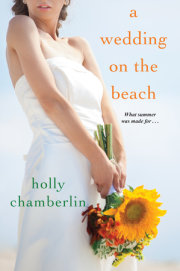 A Wedding on the Beach 