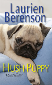 Hush Puppy 