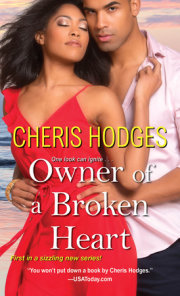 Owner of a Broken Heart 