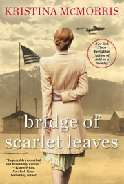 Bridge of Scarlet Leaves 