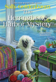The Herringbone Harbor Mystery 