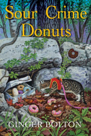 Sour Crime Donuts 