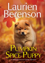Pumpkin Spice Puppy 