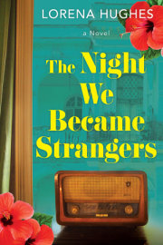 The Night We Became Strangers 