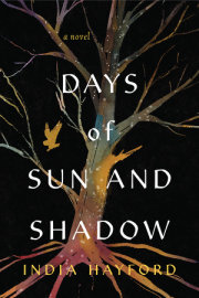 Days of Sun and Shadow 