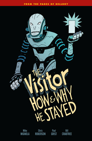 Couverture : The visitor: how and why he stayed