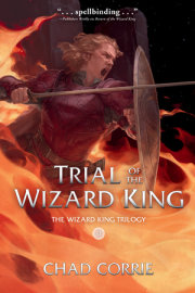 Trial of the Wizard King: The Wizard King Trilogy Book Two 