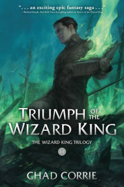 Triumph of the Wizard King: The Wizard King Trilogy Book Three 