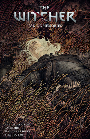 Covers of The Witcher Netflix Series