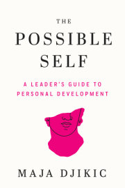 The Possible Self 