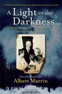 Book cover for A Light in the Darkness