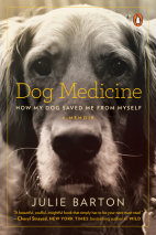 Dog Medicine Cover