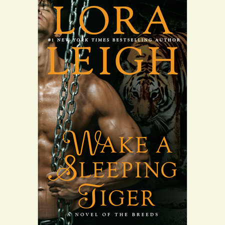 Wake A Sleeping Tiger Cover