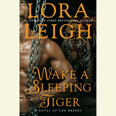 Wake A Sleeping Tiger Cover