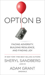 Option B 