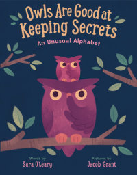 Book cover for Owls are Good at Keeping Secrets