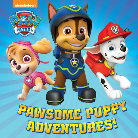 Sea Patrol To The Rescue! (PAW PATROL) - Random House