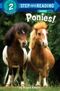 Cover of Ponies! cover