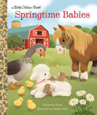 Book cover for Springtime Babies