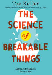 The Science of Breakable Things 