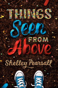 Cover of Things Seen from Above cover