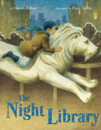 Book cover for The Night Library